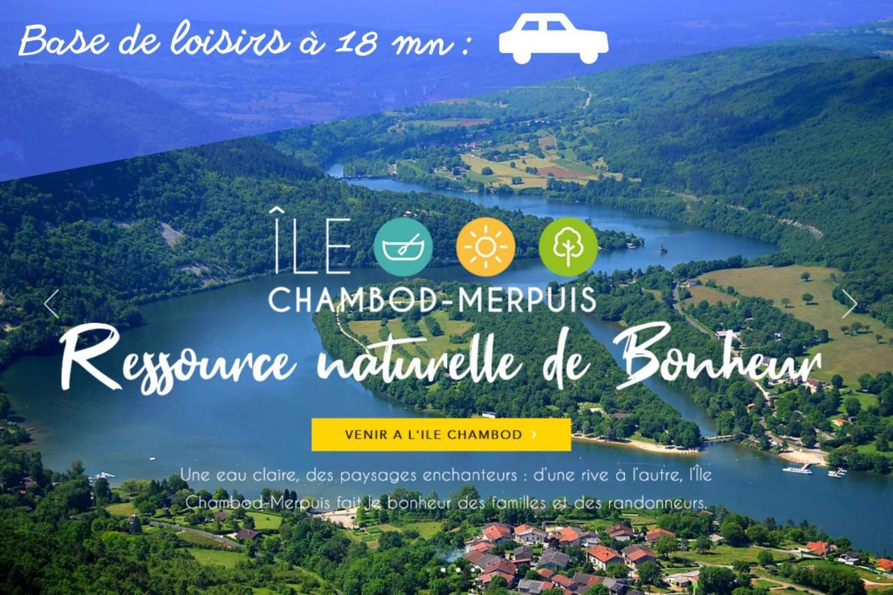 L'Emeraude - 1 A 4P - Wifi Fibre - Parking Gratuit Pont-d'Ain Ngoại thất bức ảnh
